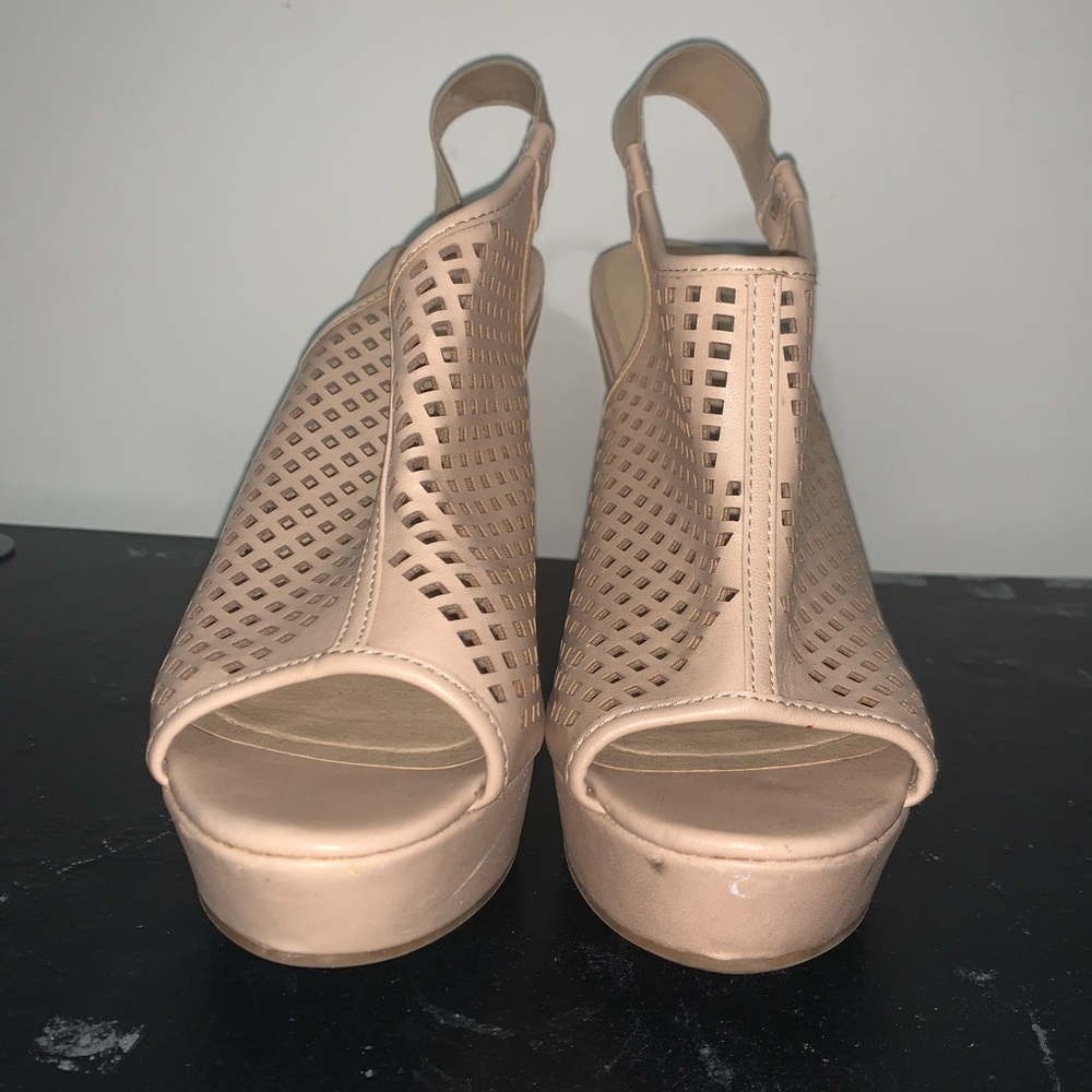 Show-tastic - Picture 4 of 4